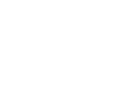 Nitra Solutions